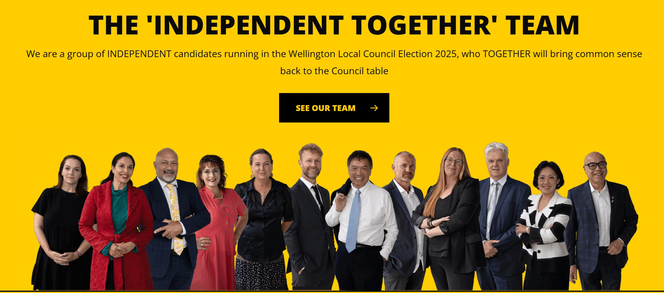 Strongest team in over 20 years contests Wellington City Council elections