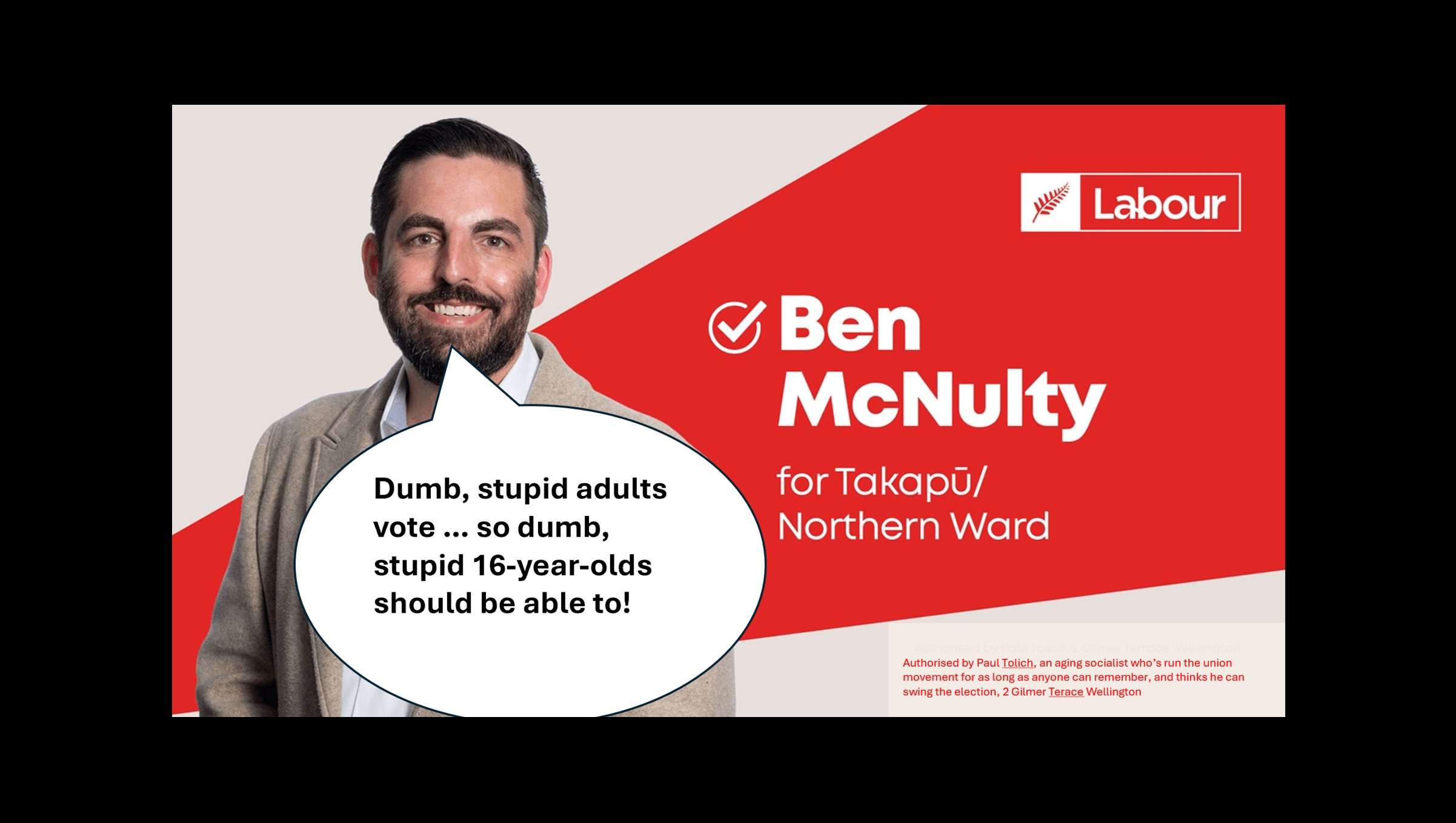 16 year olds should be able to vote and stand for office, says McNulty