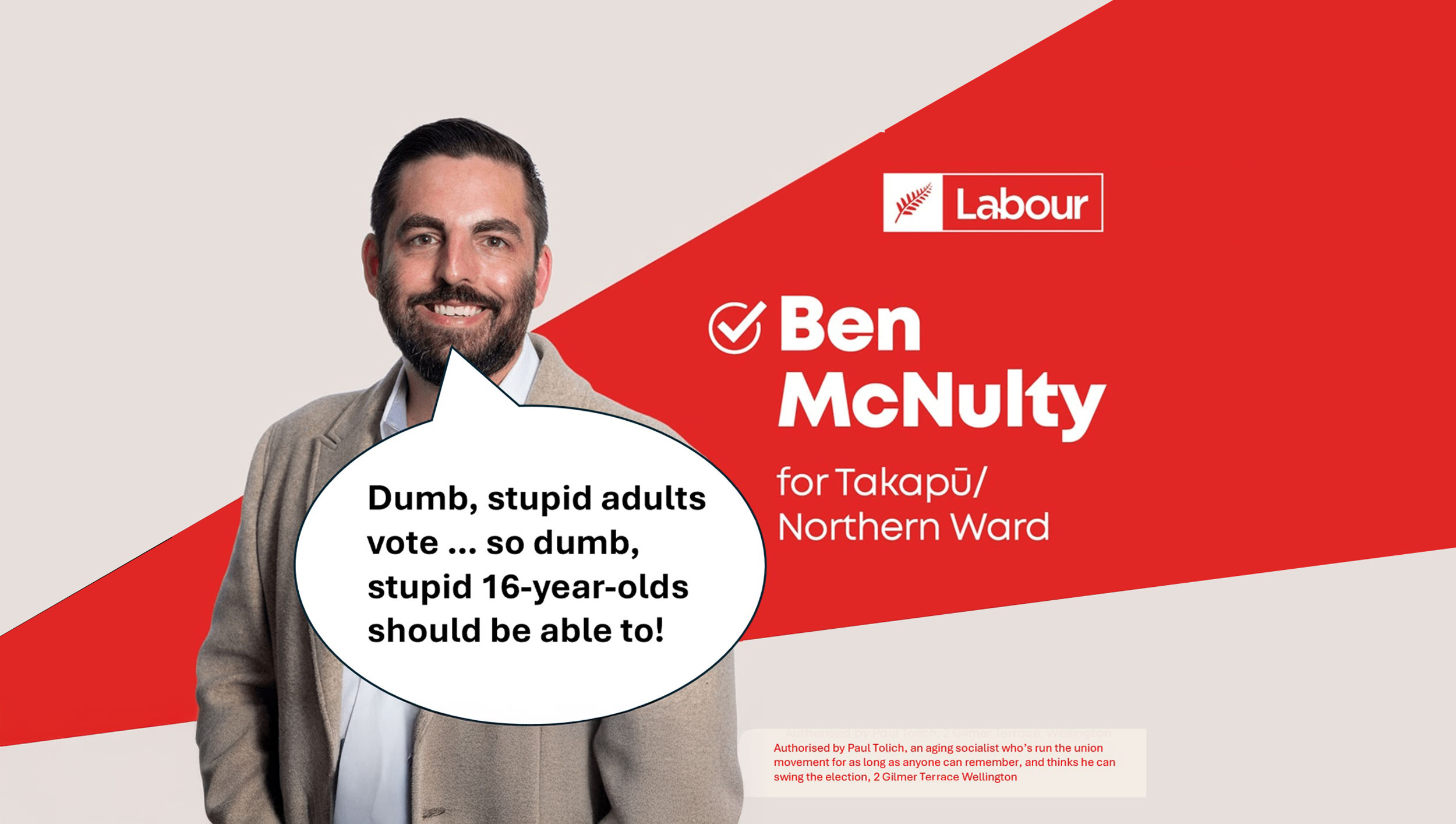16 year olds should be able to vote and stand for office, says McNulty